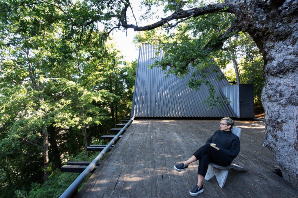 Arquitectura Smiljan Radic Casa Prisma Conguillio Premio Pritzker