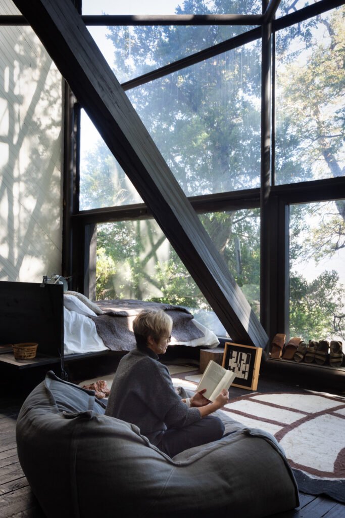 Arquitectura Smiljan Radic Casa Prisma Conguillio Premio Pritzker