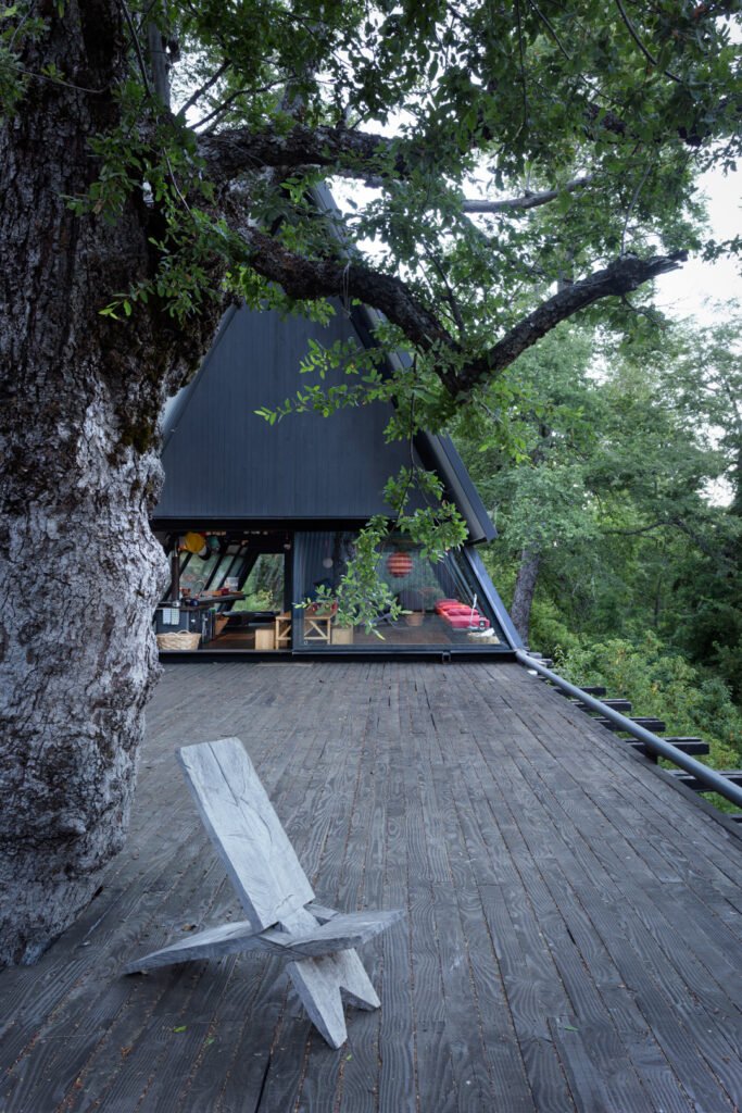 Arquitectura Smiljan Radic Casa Prisma Conguillio Premio Pritzker